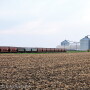 Railroad - Grain elevator - Lindsey Pound
