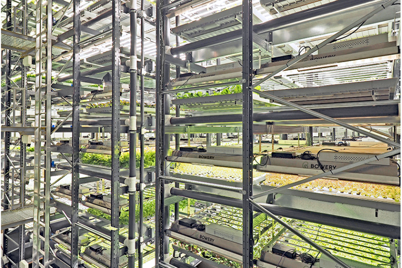 bowery vertical farm inside