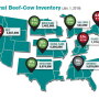 The U.S. annual Cattle Inventory report found 94.8 million head on farms and ranches, up slightly from last year. The calf crop from 2018 totaled 36.4 million head, up 2%.