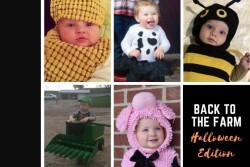 Halloween Costumes 2023