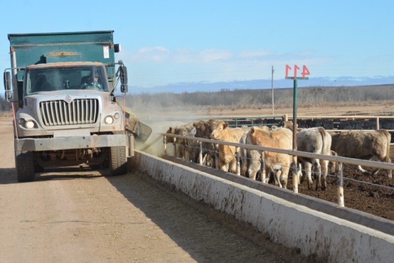 BT_Feedlot_Cattle_Truck
