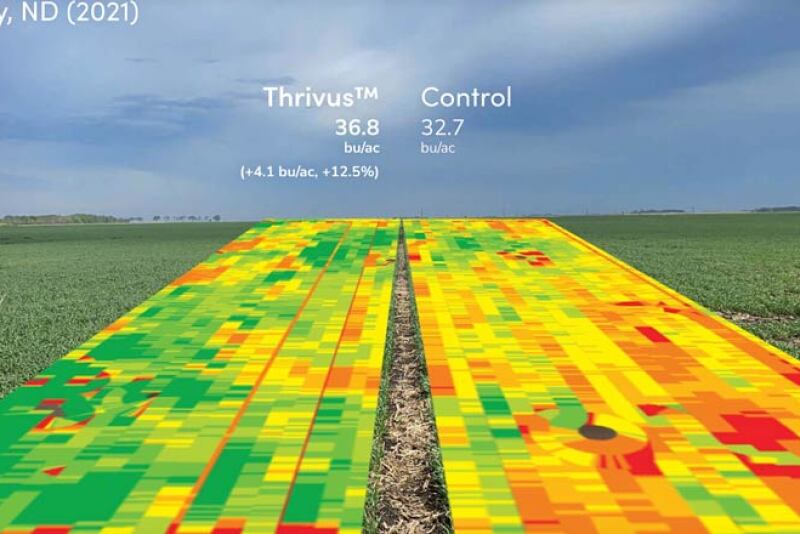 Thrivus