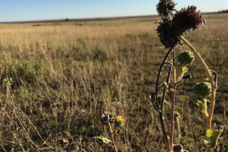 Farm Journal