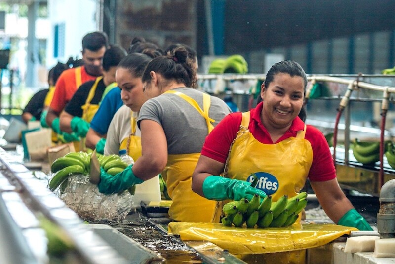fyffes