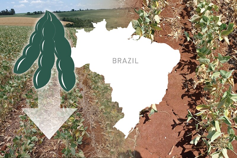 Brazil Drought
