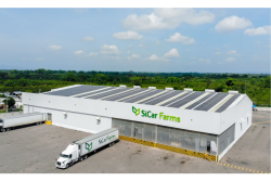Sicar Farms solar.png