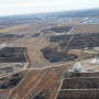 BT_Cattle_Feedlots