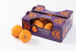 Sumo Citrus mandarins from Suntreat Packing & Shipping Co. continue to gain popularity, says Dan Kass, vice president, import/export sales and marketing. Although Sumo Citrus has been marketed for more than 10 years, “It’s still a relatively new item in terms of penetration in the marketplace,” he say