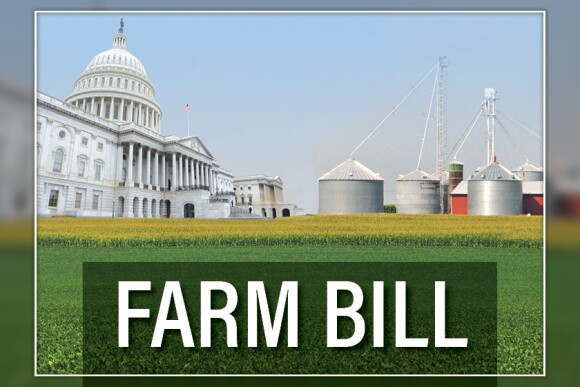 Farm bill - capitol - grain system - soybean field - corn field - By Lindsey Pound