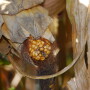Harvest is progressing across the country, and as the new crop comes in, are better corn prices ahead? Mike North breaks down the corn market. 
