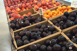 Organic sales are climbing across the board, and so are organic sales of fresh produce.