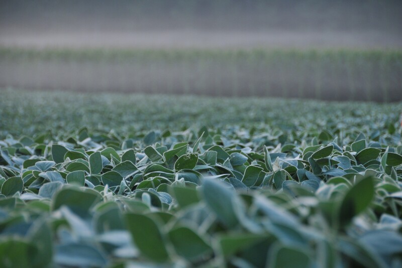 A biodiesel plant in Iowa shut down recently.