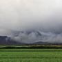Wildfire_1200x628.png