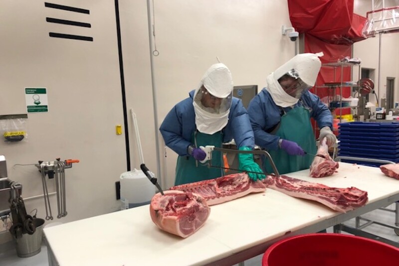 K state research carving out answers to how COVID-19 survives.