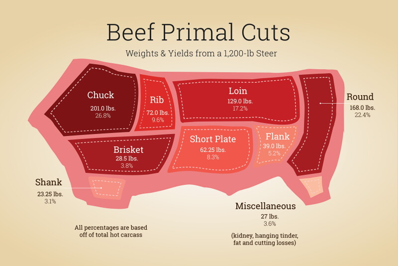 Beef Count Expected Beef Yield from a Butcher Calf - Drovers