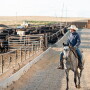 U.S. Roundtable For Sustainable Beef
