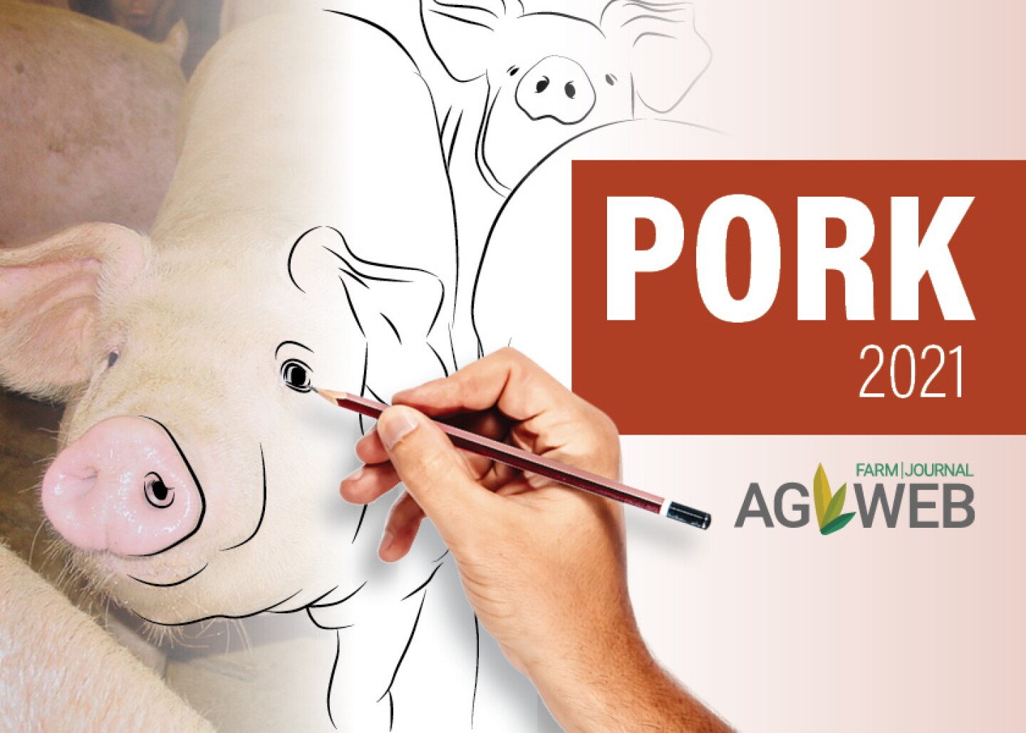 Pork%202021%20Outlook.jpg