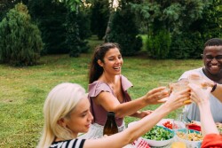 three people cheers picnic