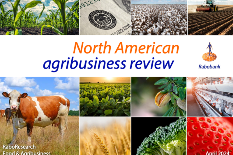 Rabobank North American Agribusiness Review April 2024