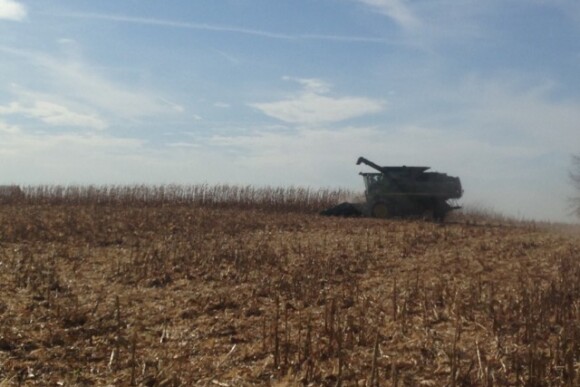 i_80_harvest_eastern_iowa.jpg