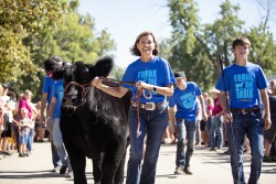 Iowa Governor Kim Reynolds, youth exhibitor Marcus Gaul and steer Frank the Tank.