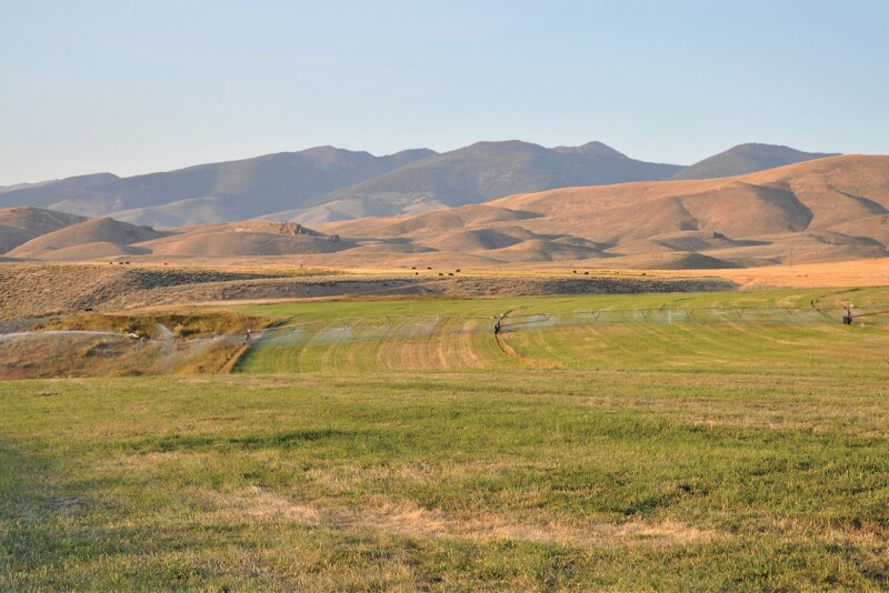 Muleshoe Ranch ID