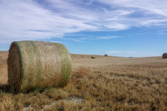 Hay Bale