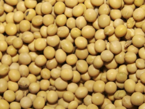 Soybeans