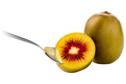 Red Passion kiwifruit from Oppy