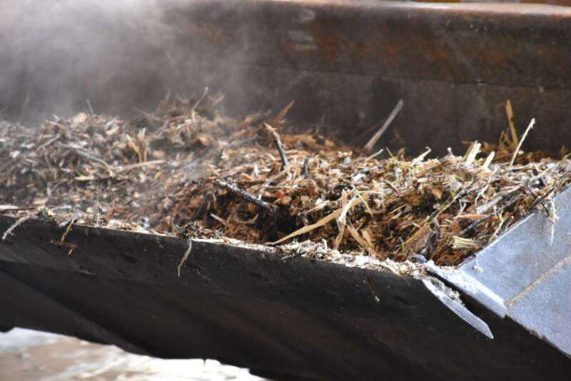 Moving compost at pig farm