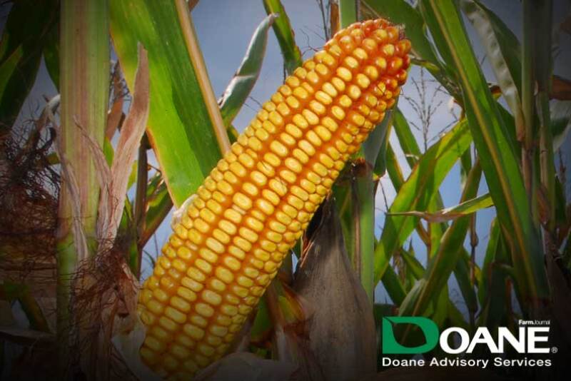 Your weekly market analysis from the experts at Doane.