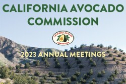 California Avocado Commission 2023 annual meetings