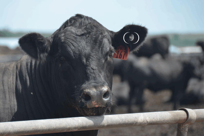 What is your definition of traceability?