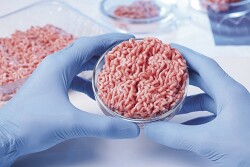 Competition is growing for meat from alternative sources.