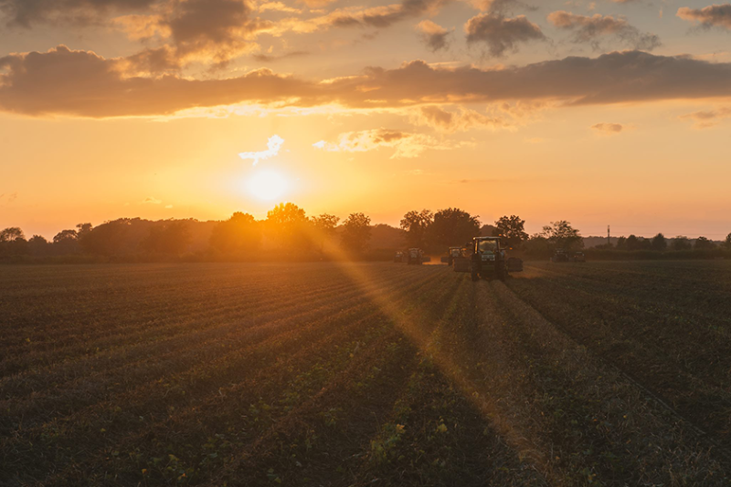 A sun over a field with farm machinery