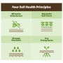 Four-Soil-Health-resize.png
