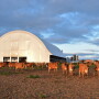 Jersey farm