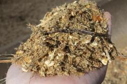 feed_ration_hand