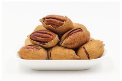 Pecans.png