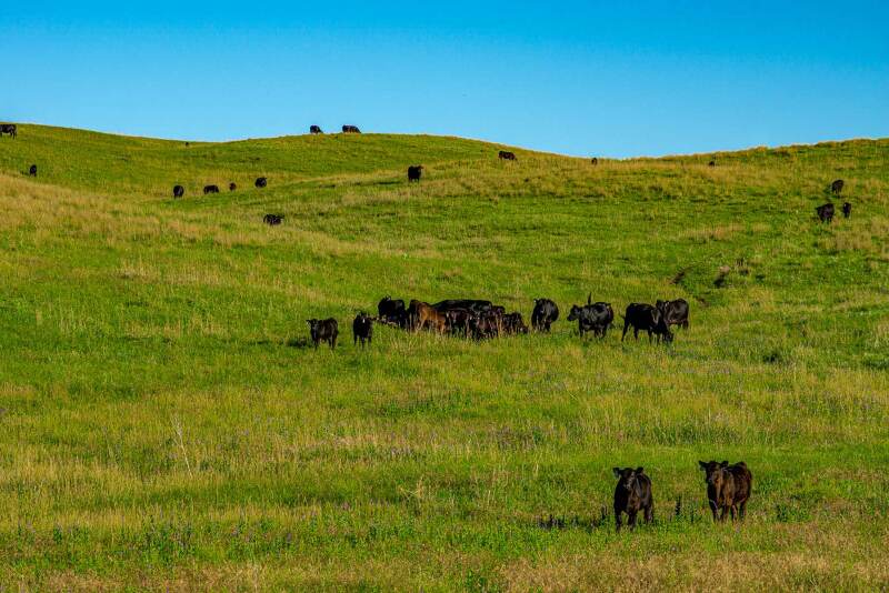 Minnechaduza Creek Ranch