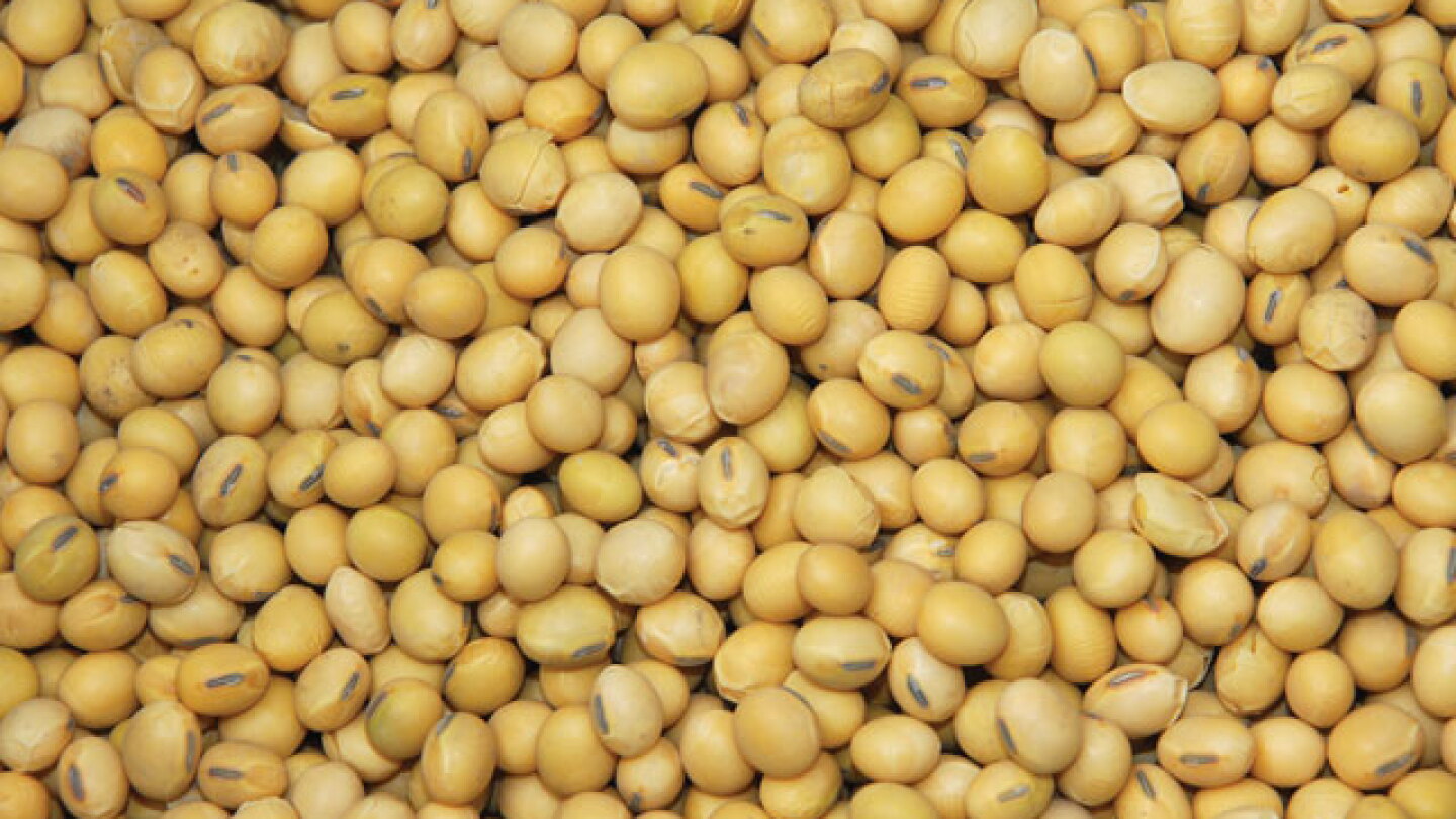 China to Buy 12 Million Metric Tons of Soybeans This Season, Bessent ...