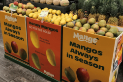 National Mango Board