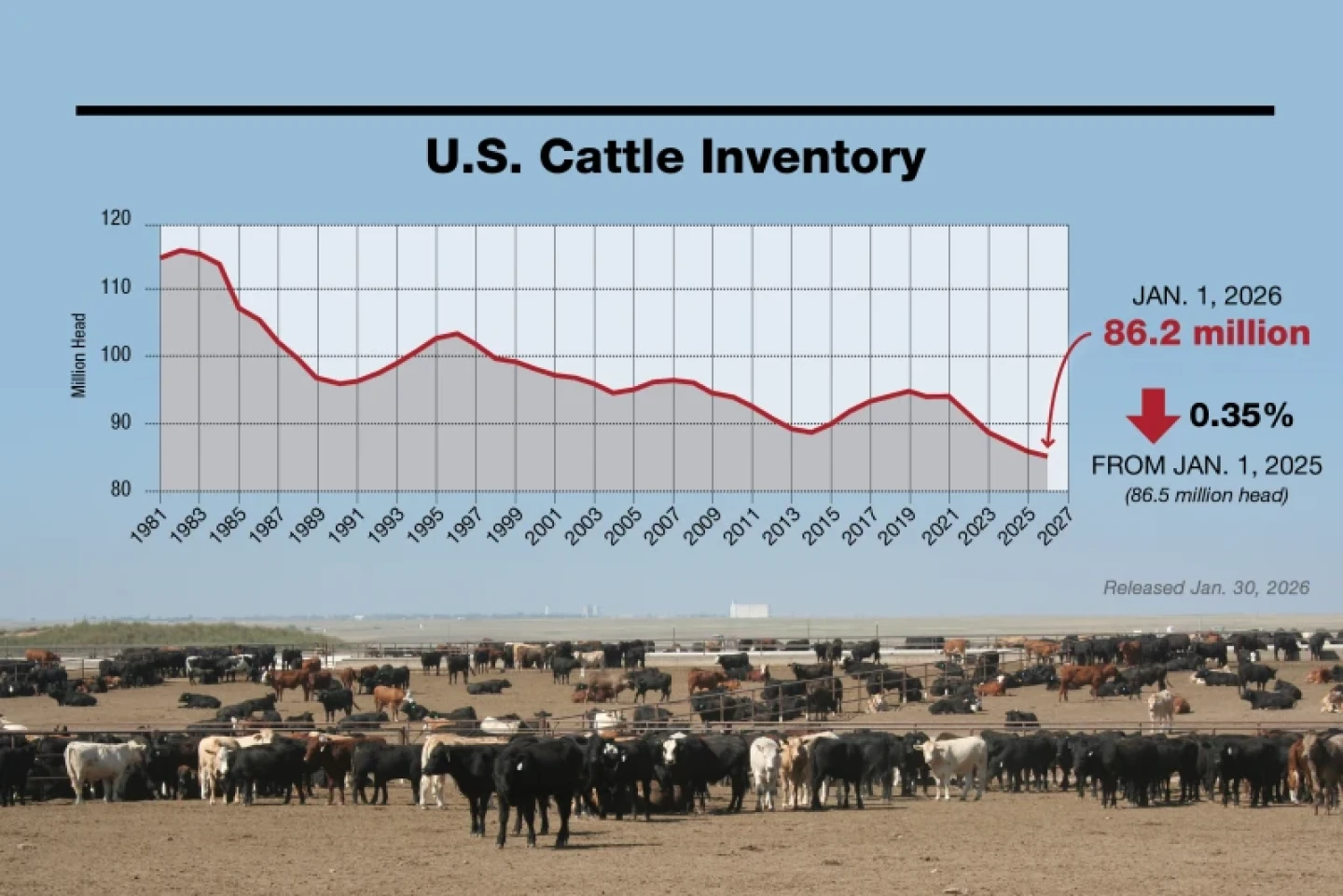 Will Beef-on-Dairy Help Rebuild America’s Record-Low Cattle Numbers ...