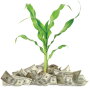 One possibility for USDA would be to tap the Commodity Credit Corporation (CCC) Charter Act, the so-called ATM machine for aggies. One source asked: Would any fertilizer aid come in time to impact corn plantings?