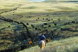 Sustainability initiatives are taking shape.