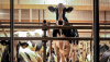 holstein.PNG