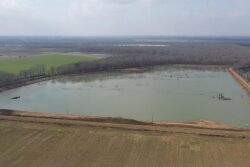 Dabbs hero image