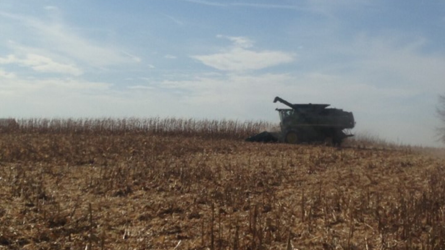 USDA makes surprise cut to U.S. soybean harvest estimate, raises corn ...