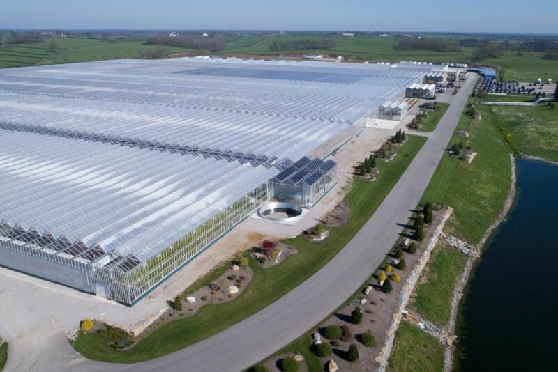 Watch the video above with Andy Bishop, director of farm services at AgTech Scientific, to learn about the potential of hemp in Kentucky.  