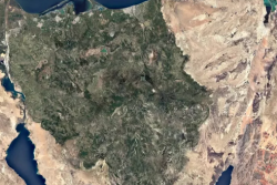 Artist impression of regreened Sinai